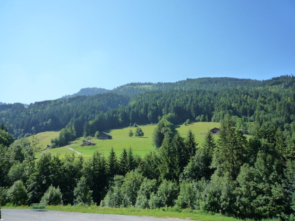 Aravis Locations Appartement Le Grand-Bornand Buitenkant foto